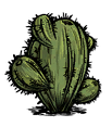 Oasis Cactus.png