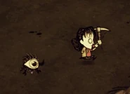 Птенец следует за Уиллоу