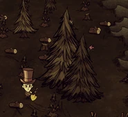 Спящий Энт. Он больше дерева собственного размера