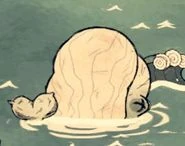 Baleine bleue morte 3.jpg (6 kio) Une carcasse de baleine bleue au stade 2