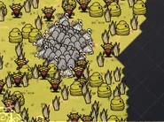 "Немножко" опасное место