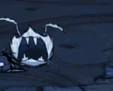 Araignées albino en train de manger