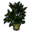 Palm Plantholder