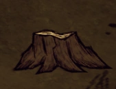 Пень совершенно нормального дерева