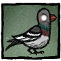 Pigeon иконка профиля