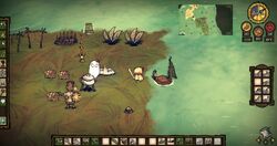 Shipwrecked071.jpg (215 kio)