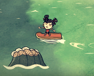 Walani lướt sóng.
