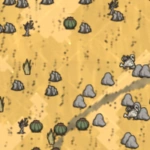 Cactus | Wiki Don't starve | Fandom