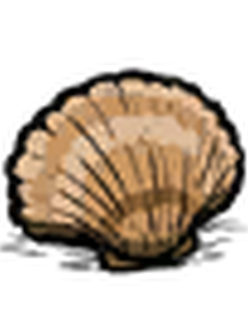 Coquillage Wiki Don T Starve Fandom