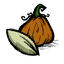 Graines de citrouille