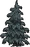 Узловатая ель