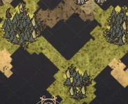 Đất Nhớt có màu xanh lá cây trên bản đồ.