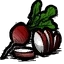 Radishes