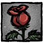 Red Rose иконка профиля