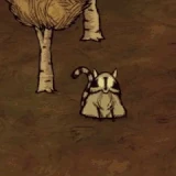 Catcoon Sleeping.gif (945 КБ) Енотокот спит