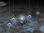 Araignées albinos pendant du plafond