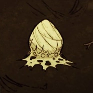 第1段階（Tier 1)の巣