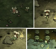 Broodlingあれこれ