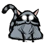 Енотокот