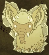 Voi Túi bị đóng băng