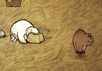 Lapin géant endormi