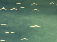 Haute mer.png