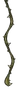 Hanging Vine