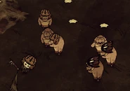 Các Lợn khác không bị tác động bởi một Lợn đang đội Mũ Nhện.