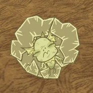 Wurt đang bị đóng băng