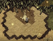 Viền che phủ cùa Thân Cao Niên được đánh dấu bằng viền cỏ (xấp xỉ).