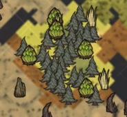 Cây trong Rừng Ngầm trên Bản Đồ.