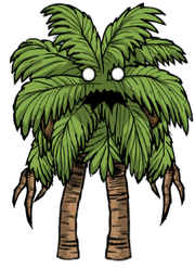 Пальмовый энт