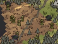 Sậy ở vùng Đầm Lầy nhỏ trên Bản Đồ.