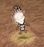 Winona bị giật bởi by Sét trong Don't Starve Together, cho thấy cô cũng có xương trong tóc như bao nhân vật khác.