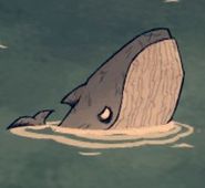 Baleine bleue ig.jpg (5 kio) Une baleine bleue la tête hors de l'eau