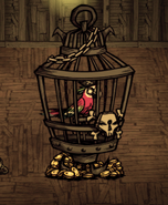Попугай-пират в пиратской клетке