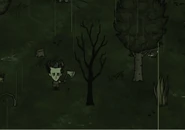 Burnt.jpg (63 kB) Cây Dẻ Bulô cháy.