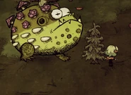 Сравнение размера жабы с размером игрока