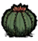 Cactus (3 kB) Cactus