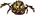Araignée