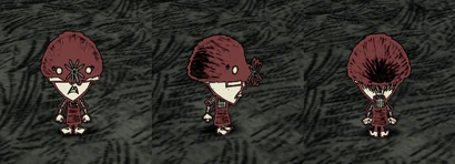 Wickerbottom đội Kính Chuột Chũi.