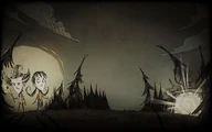 Wilderness
