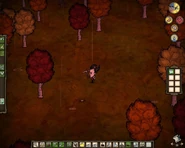 Осень.jpg (165 КБ) Лиственный лес в начале осени