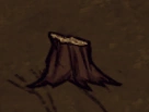 Souche de Sapin-inGame.png (13 kio)