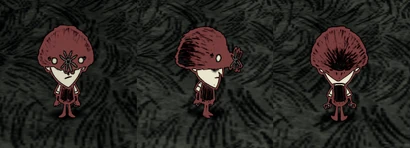 Wilson đội Kính Chuột Chũi.