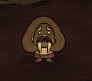 WeeTusk đang hoảng sợ.