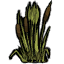 Камыш
