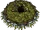 Marotter Den