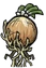 Onion Plant
