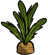 Морковь растение DST.png